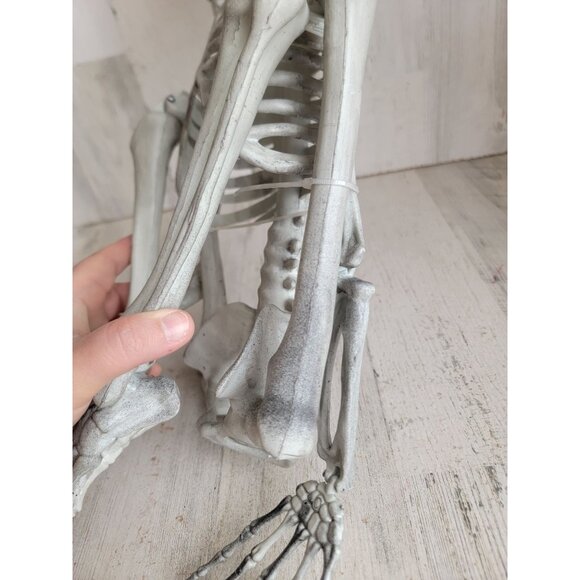 Skeleton prop bone hanging Halloween home decor skull scary - Picture 8 of 12